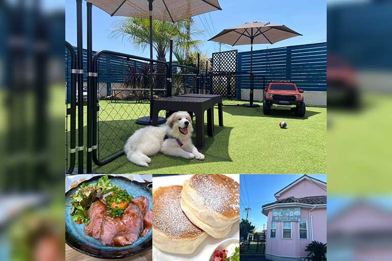 稲空DogCafe