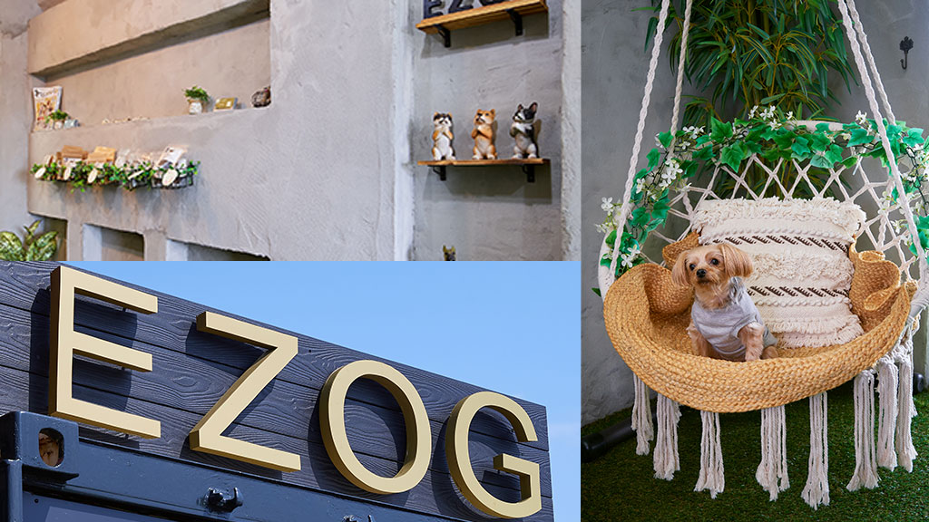 EZOGショップ札幌