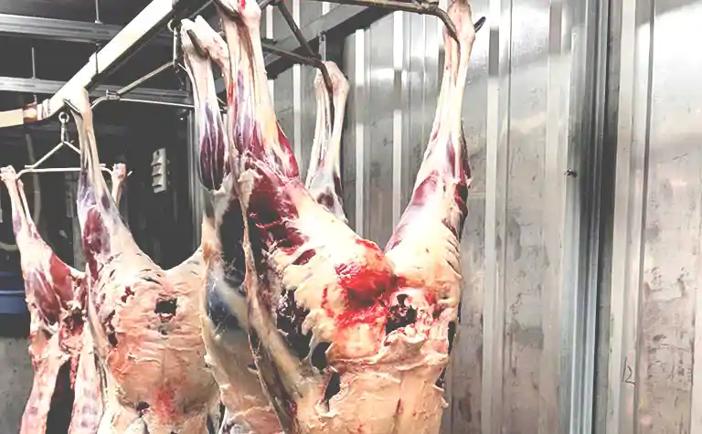 年間を通じた安定供給